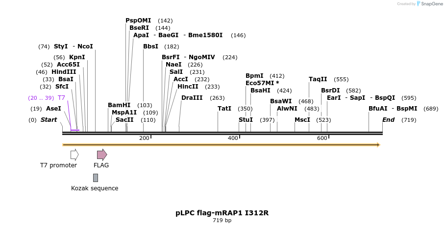 137785_map