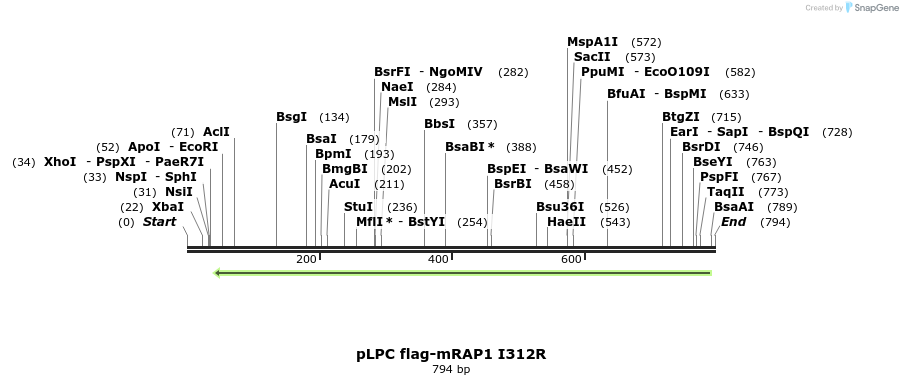 137786_map