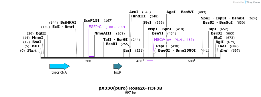 137788_map