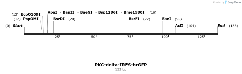 137793_map