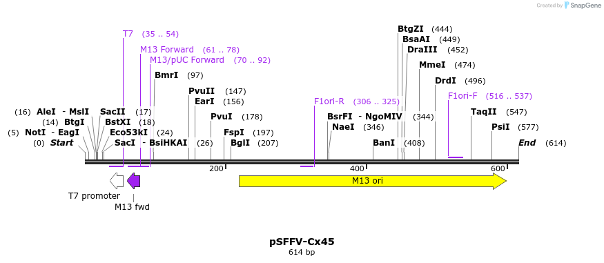 137794_map