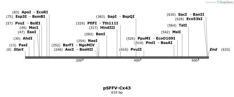 137796_map