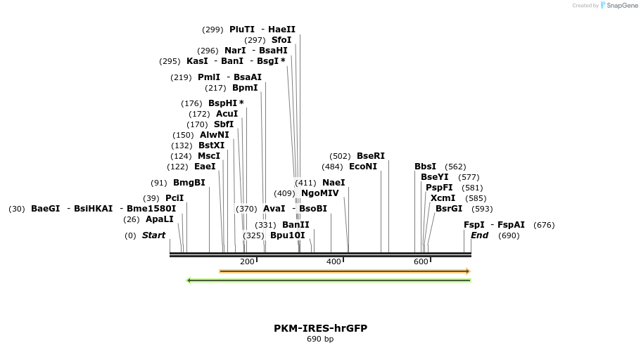 137797_map