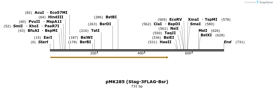 137802_map