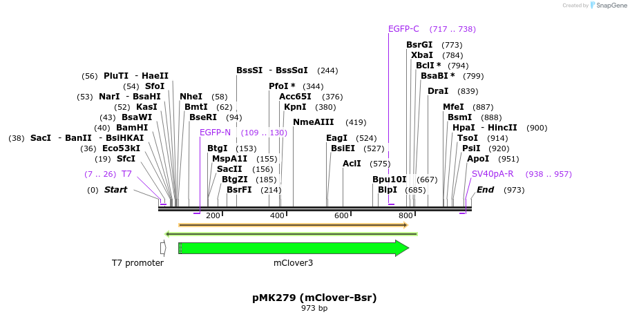 137803_map