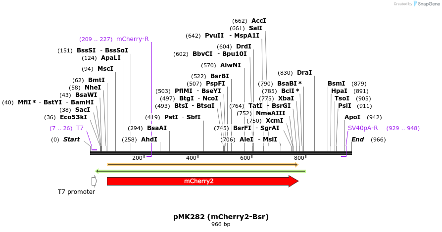 137804_map