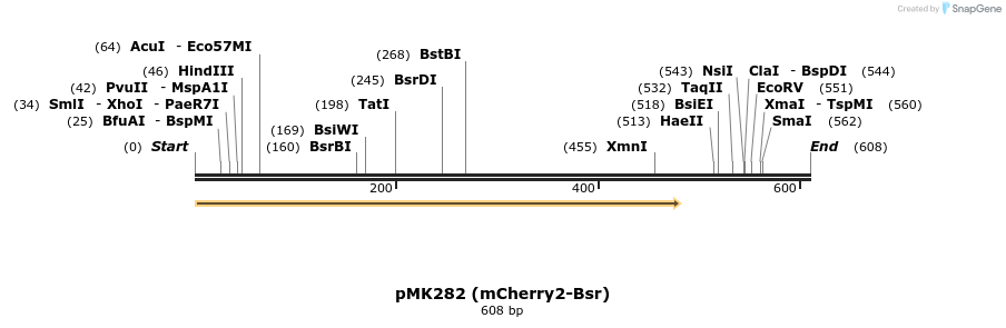 137805_map