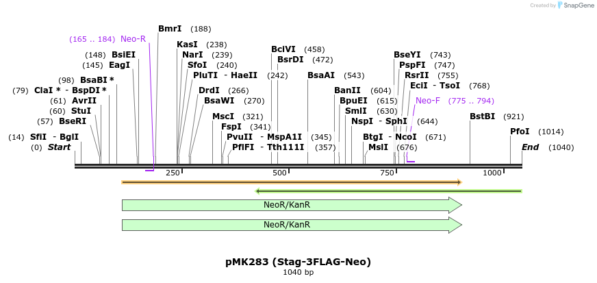 137807_map