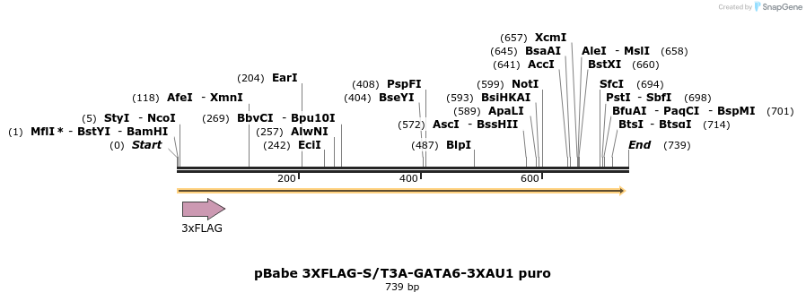 137811_map