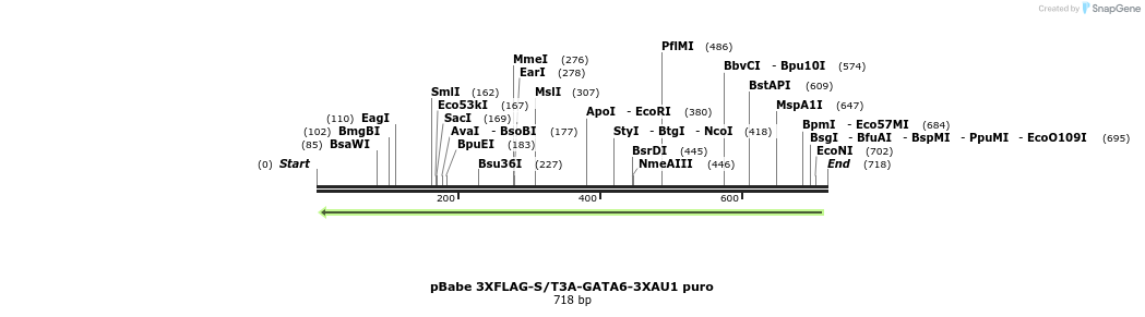 137812_map