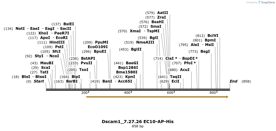 137815_map