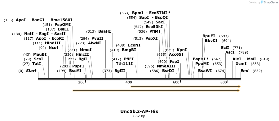 137817_map