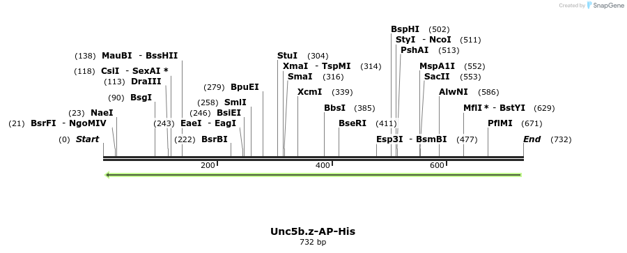 137818_map