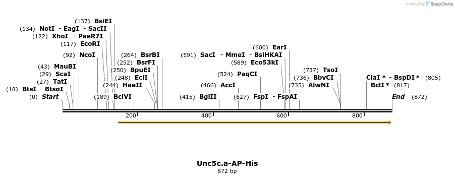 137819_map