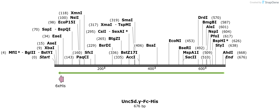 137833_map