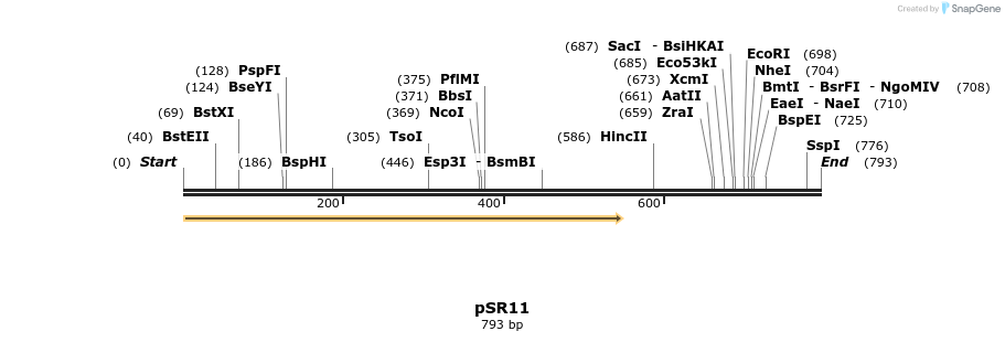 137839_map