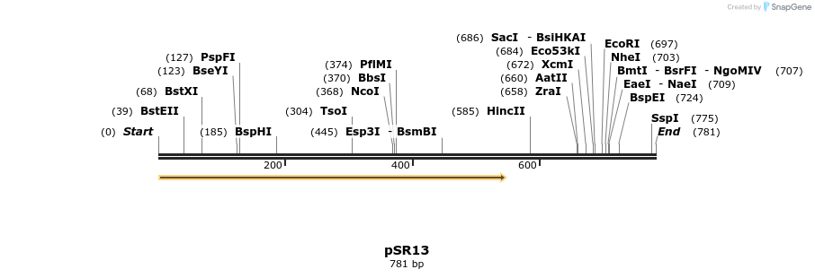 137840_map