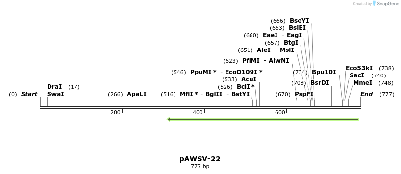 137845_map