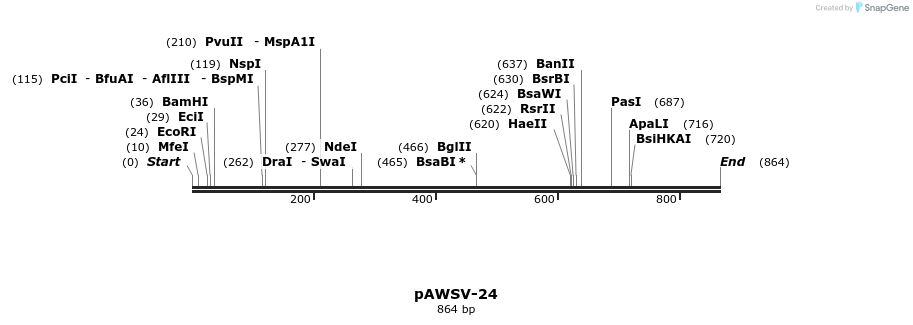 137849_map