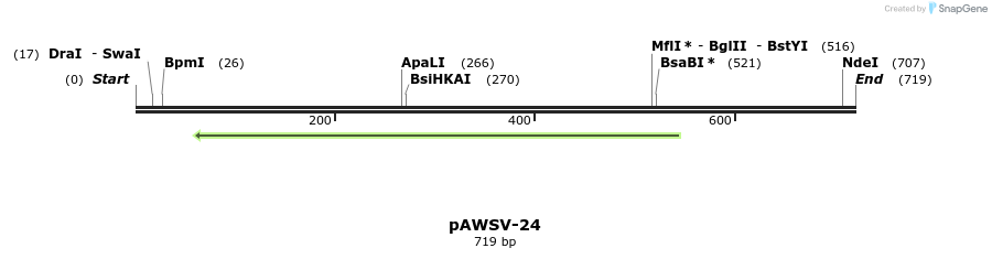 137850_map