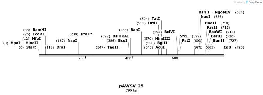 137851_map