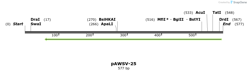 137852_map