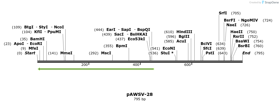 137859_map