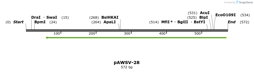 137861_map