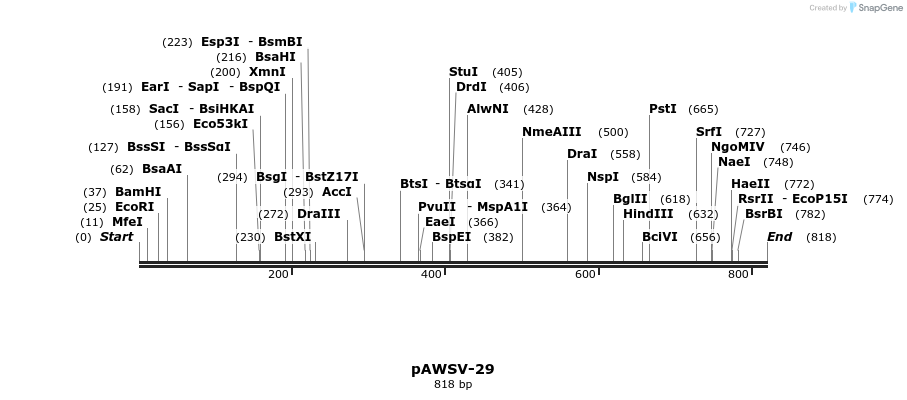 137862_map