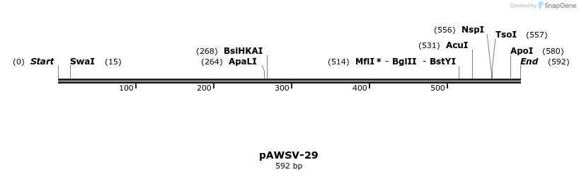 137863_map