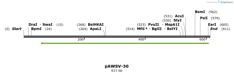 137865_map