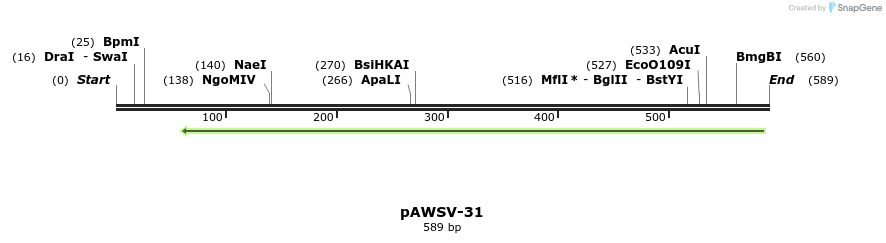 137868_map