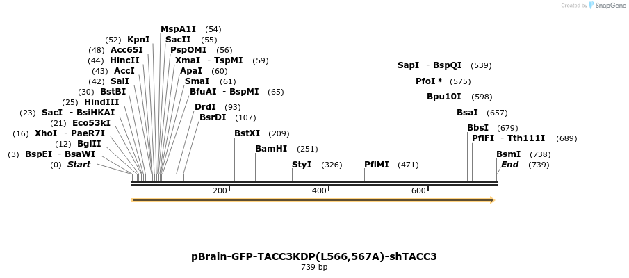 137875_map