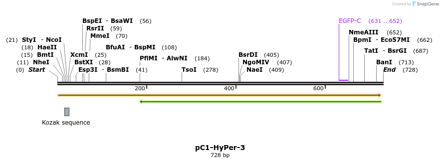 137876_map