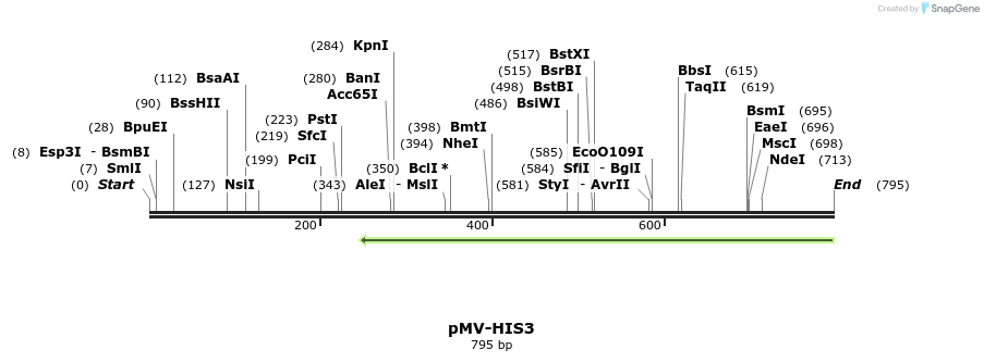 137884_map