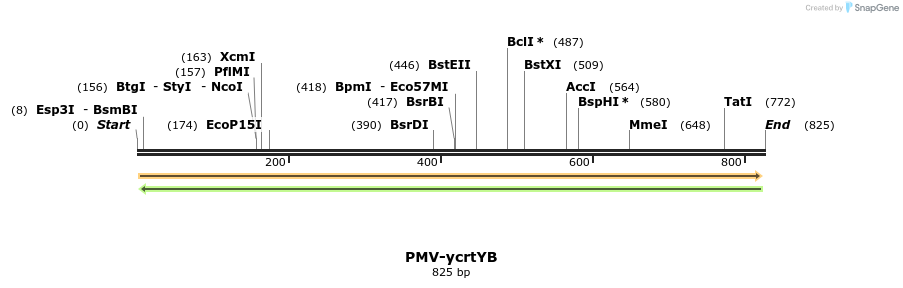 137886_map