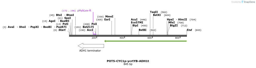 137887_map