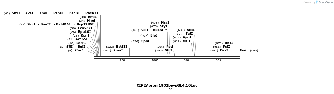 137891_map