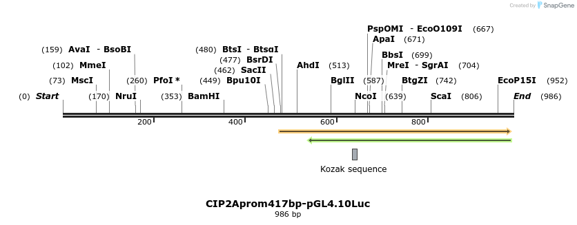 137894_map