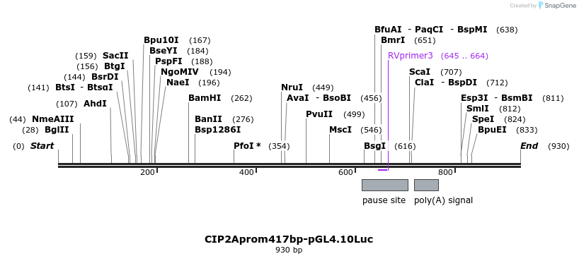 137895_map