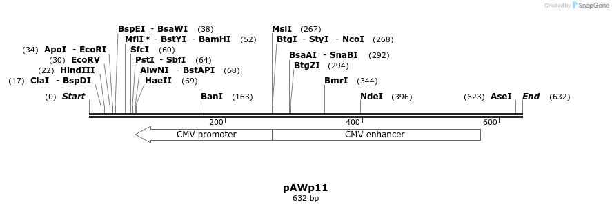 137897_map