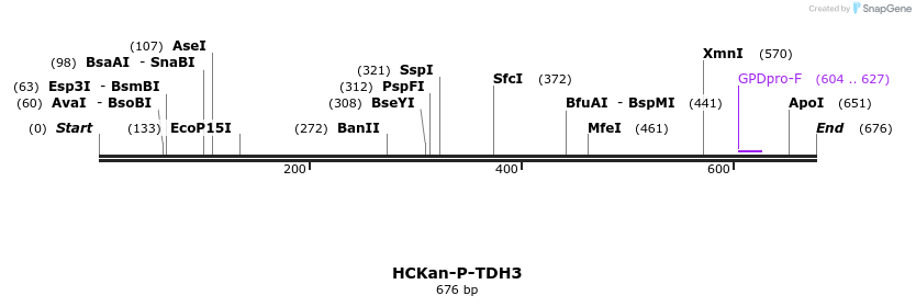 137898_map