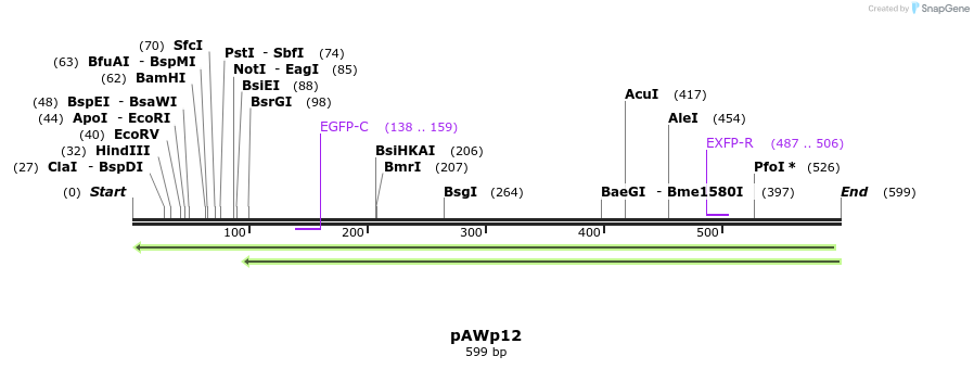 137899_map
