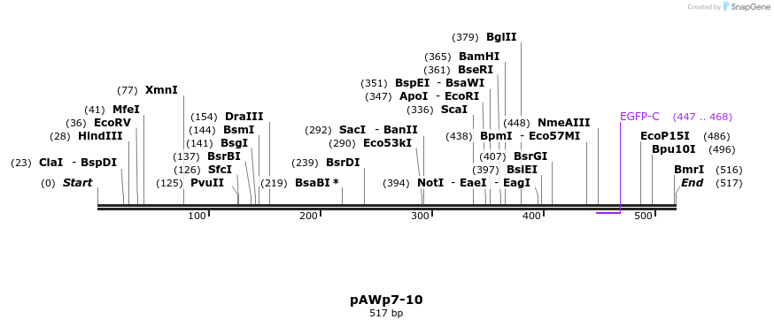137903_map