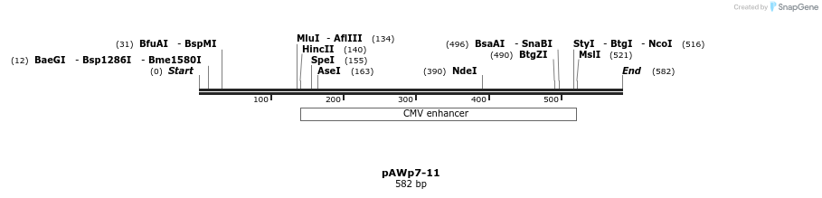 137905_map