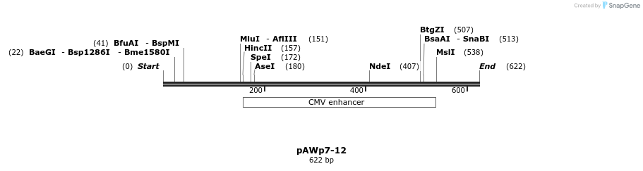 137907_map
