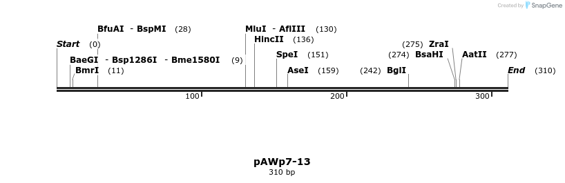 137912_map