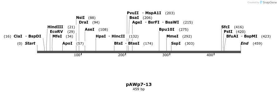 137915_map