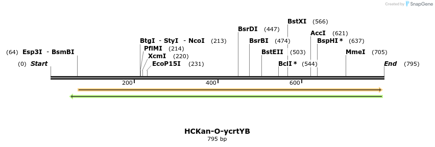 137917_map