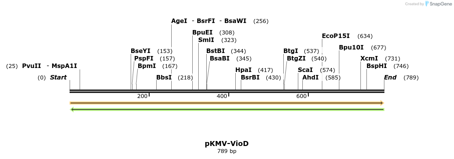 137918_map